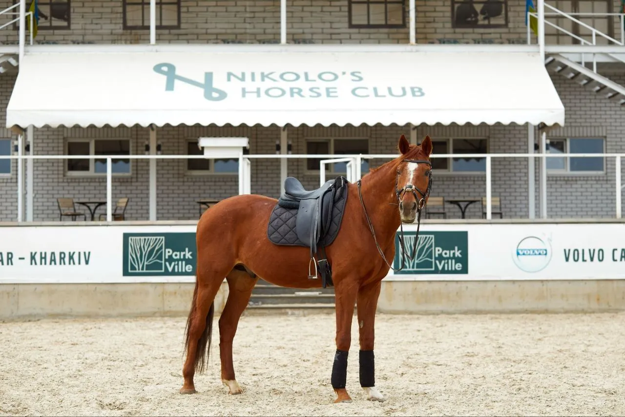 Кінь перед будівлею клубу Nikolo's Horse Club