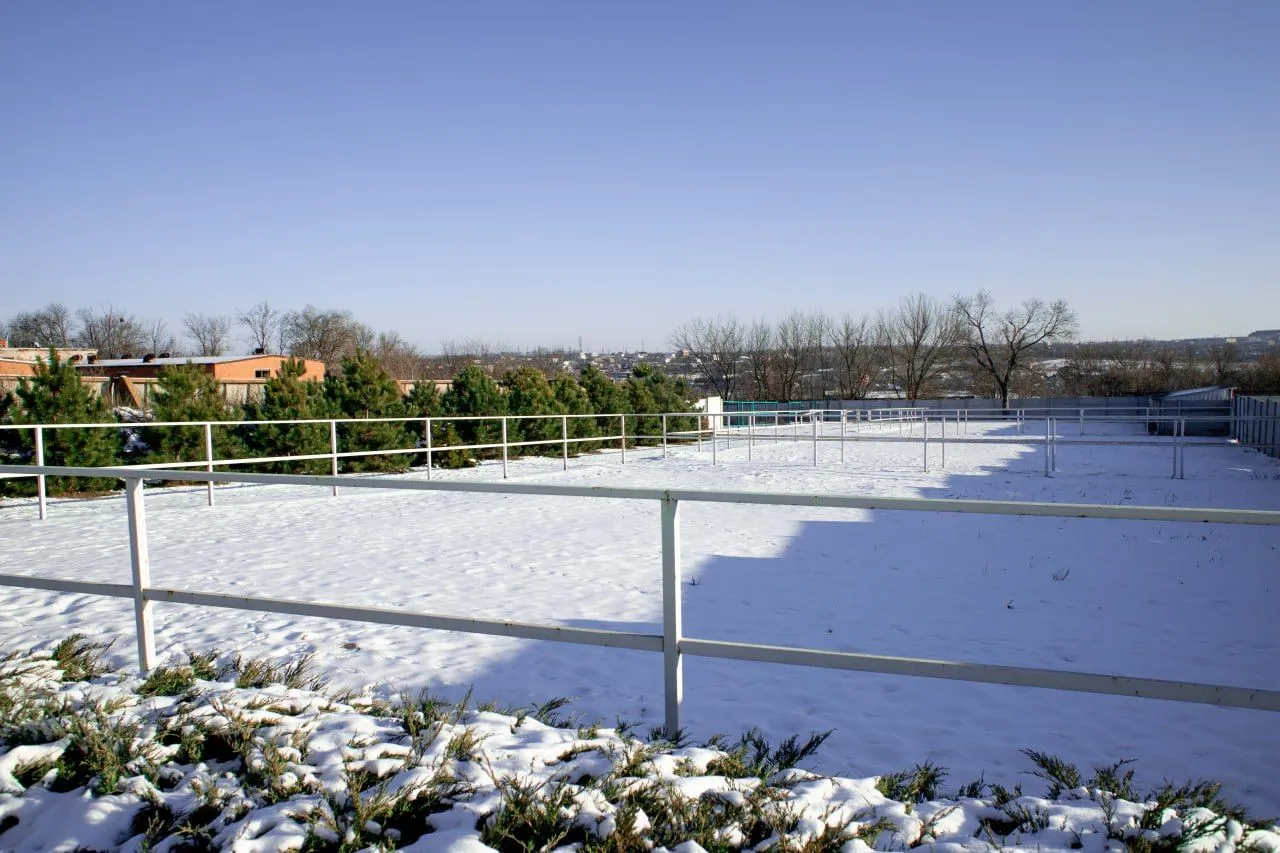 A paddock in winter, looking out over the outskirts of Kharkiv